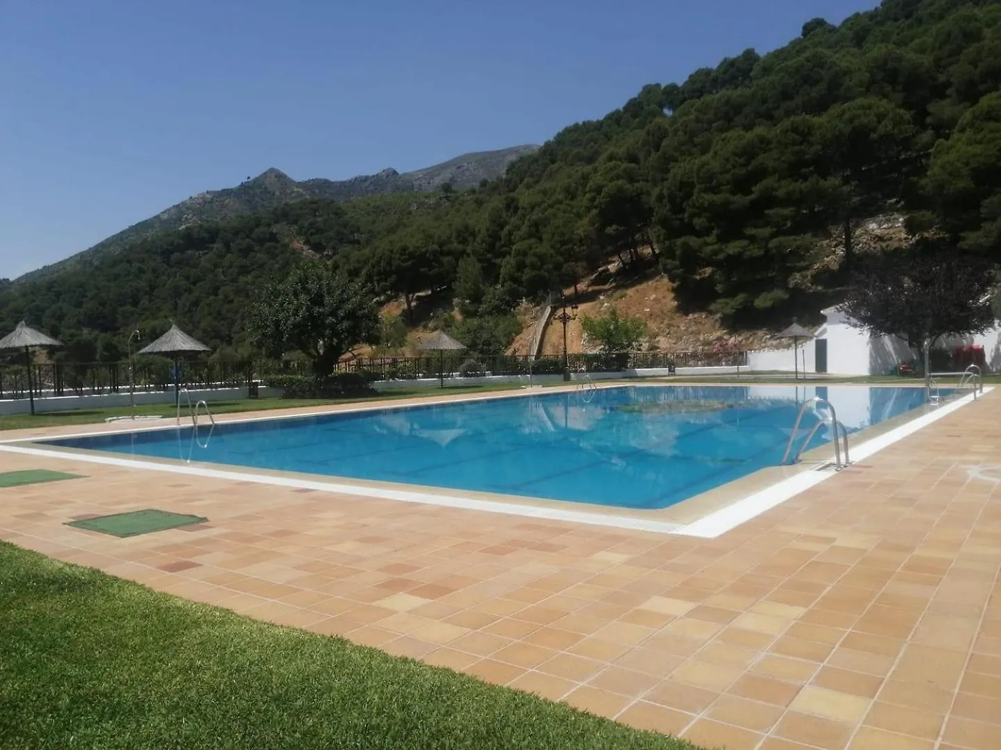 Casa Del Musico Apartment Casarabonela Homestay